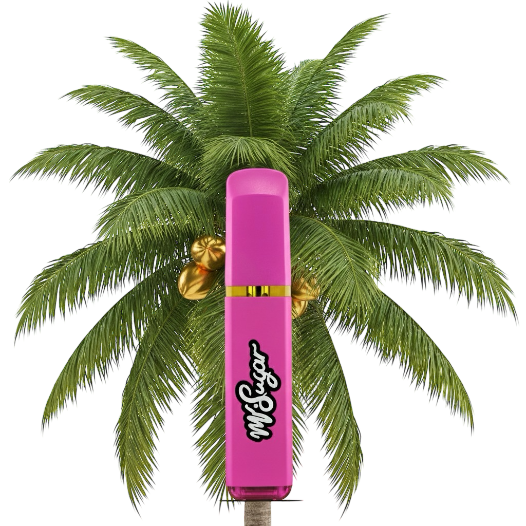 MrStick 2Gr. | Desechable Premium