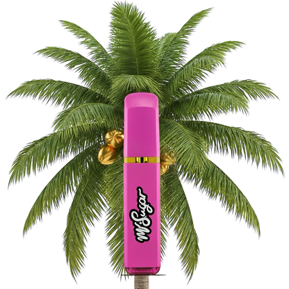 MrStick 2Gr. | Desechable Premium