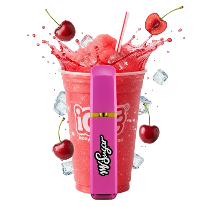 MrStick 2Gr. | Desechable Premium