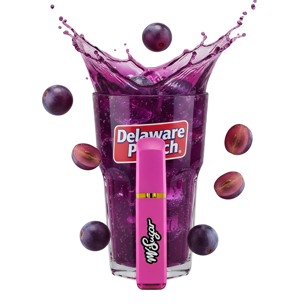 MrStick 2Gr. | Desechable Premium