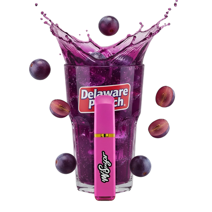 MrStick 2Gr. | Desechable Premium