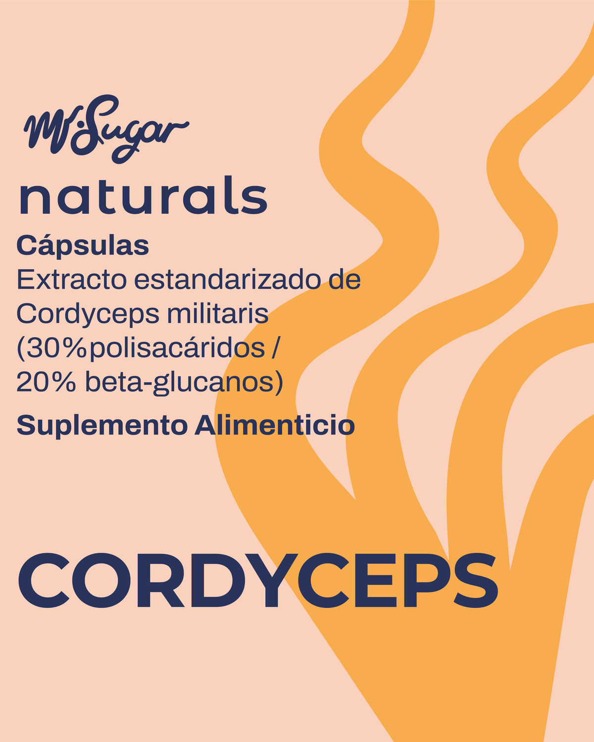 MR POWER — Cápsulas de Cordyceps