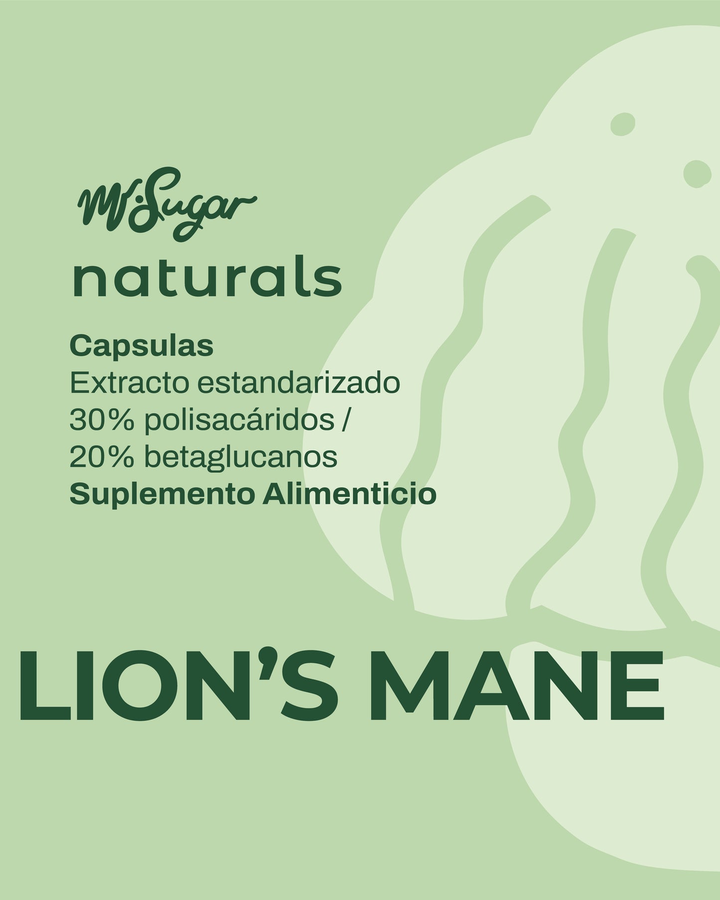 MR FOCUS — Cápsulas de Lion's Mane