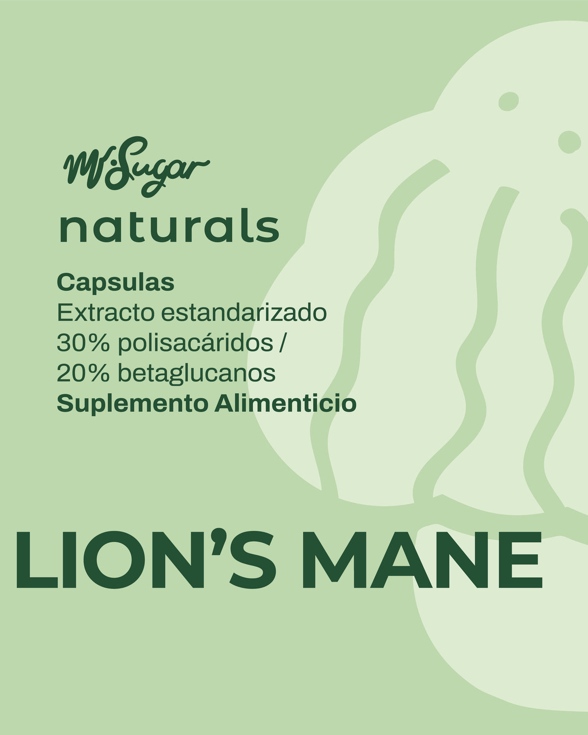 MR FOCUS — Cápsulas de Lion's Mane