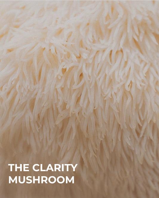 MR FOCUS — Cápsulas de Lion's Mane